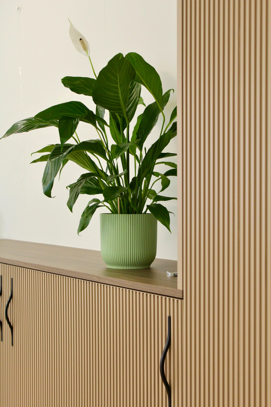 Tertia Office Solutions, spécialiste en aménagement de bureau professionnel - IOSA 04